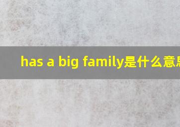 has a big family是什么意思